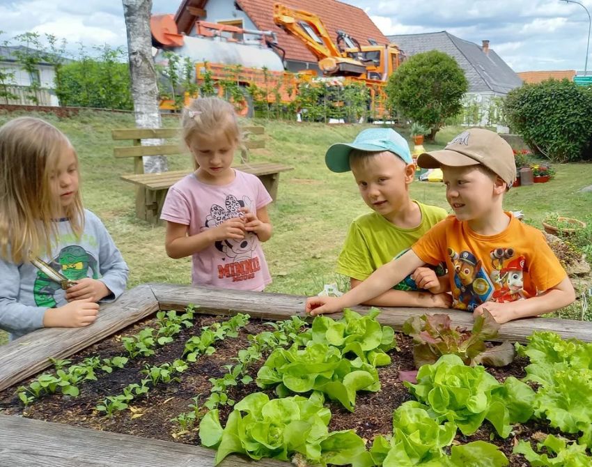 Kinder stehen um ein Hochbeet, in dem Salat wächst