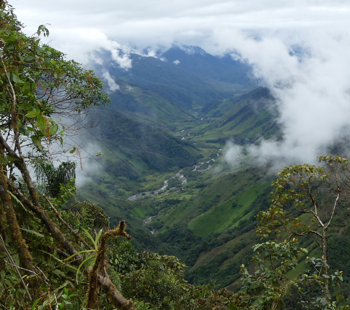 Panoramablick auf das Dorf Guaduas